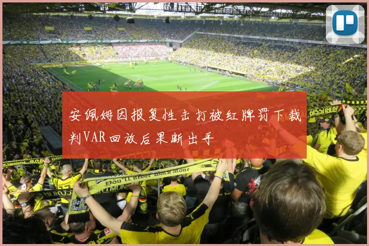 安佩姆因报复性击打被红牌罚下裁判VAR回放后果断出手