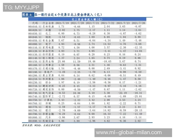 截止日交易点评汇总及市场动态分析与投资策略建议